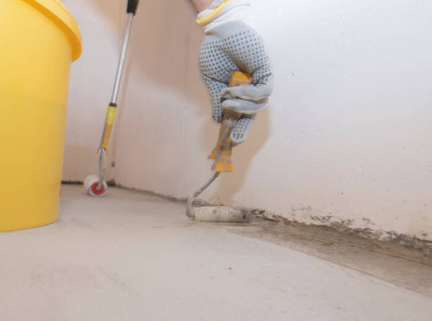 Emergency Pest Control Services in El Granada, CA